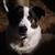 Carol Middleton's profile image