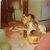 Sunsara Staninger's profile image