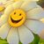 Melinda Mel Smith Connelly's profile image