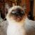 Robin Riley's profile image