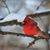 Stephanie Rosebro Ritchie's profile image