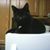 Mandi Nowak's profile image