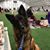 Amy Bailey-Eckert's profile image