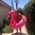 Rob Schmidt's profile image