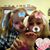 Dawn Weller's profile image