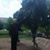 Jose Antonio Perez's profile image