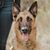 Bree Skalski's profile image