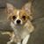 Beth Rood's profile image