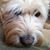 Susan Wall's profile image