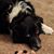 Susan Huffman Altmann's profile image