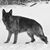 Kevin Erickson's profile image