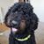 Jenny Neldner's profile image