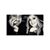 Nicci DeLeo's profile image