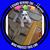 Maria Griffo's profile image