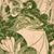 Marie Strausser's profile image