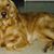 Ray Krahmer's profile image