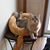 Cheryl Johnston's profile image
