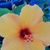 Linda Myers's profile image