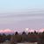 Linda Vetsch Murphy's profile image