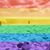 Shalom Hazan's profile image