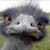 Mike Horwath's profile image