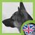 Mihai Constantin's profile image