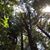 Gina Ballestrasse- Ernster's profile image