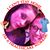 Kim Duncan's profile image