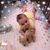 Judy Stenson's profile image
