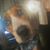 Scott Bierman's profile image