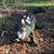 Deborah Stuby's profile image