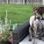 Sonia Brown's profile image