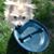 Tammy Ternosky's profile image