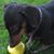 Barbara Bales's profile image