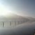 Robin Wignall's profile image