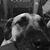 Matt Matney's profile image