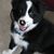 Charlie Cronin's profile image