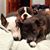 Christine Paccione's profile image