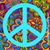 Tracy Fortunato's profile image
