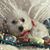 Betty Jane Mosier-Doane's profile image