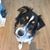 Sarah Robins-Paterson's profile image