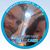 Megan Radicchi's profile image