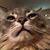 Blair Kullman's profile image