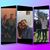 Amy Blais's profile image