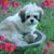 Shirley Rutherford's profile image