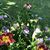 Pat Robinson Langdale's profile image