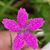 Yonery A Jimenez's profile image