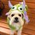 Kathleen Starkey Haley's profile image