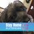 Mary Ann Yates's profile image