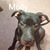 Darlene Kemp's profile image
